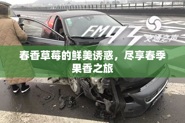 春香草莓的鲜美诱惑，尽享春季果香之旅
