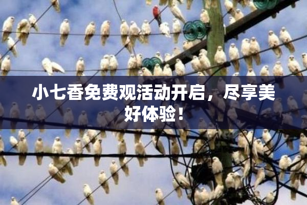小七香免费观活动开启，尽享美好体验！