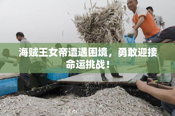 海贼王女帝遭遇困境，勇敢迎接命运挑战！