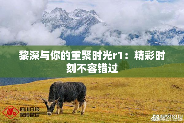黎深与你的重聚时光r1：精彩时刻不容错过