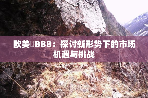 欧美槡BBB：探讨新形势下的市场机遇与挑战