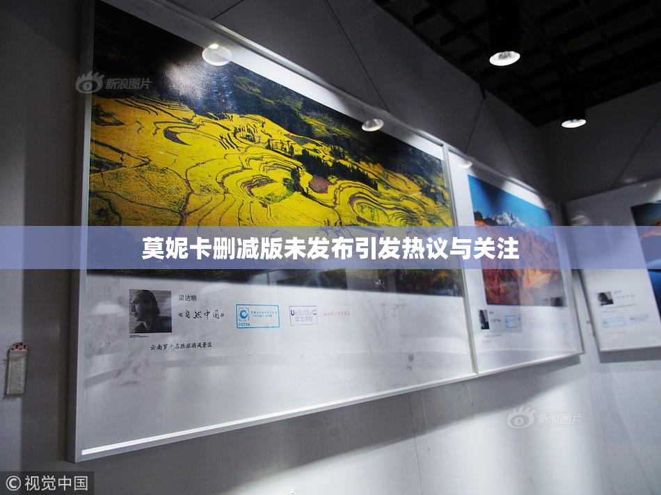 莫妮卡删减版未发布引发热议与关注
