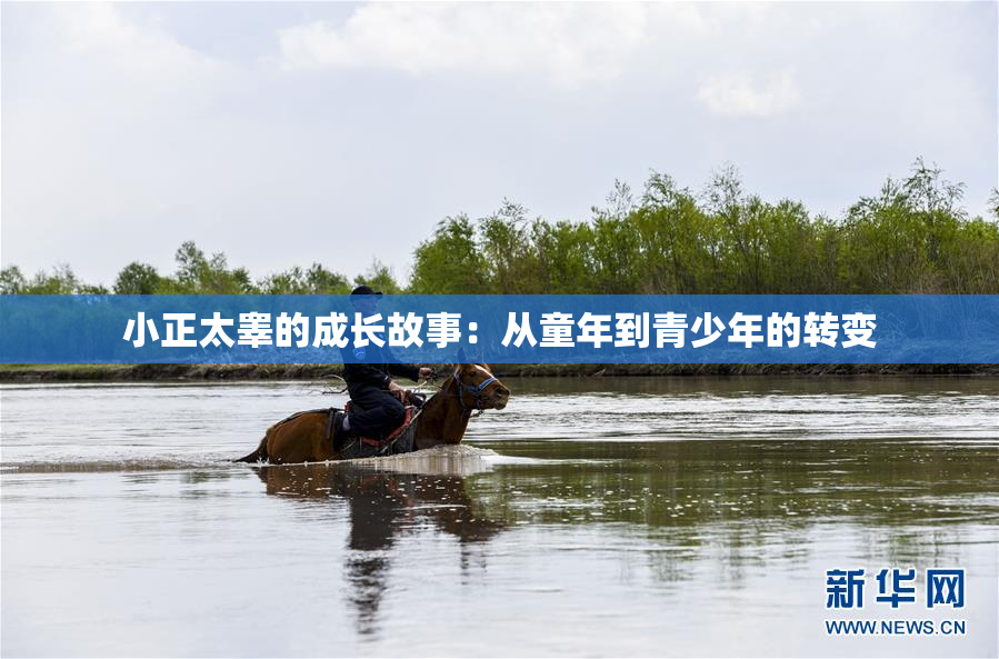 小正太睾的成长故事：从童年到青少年的转变