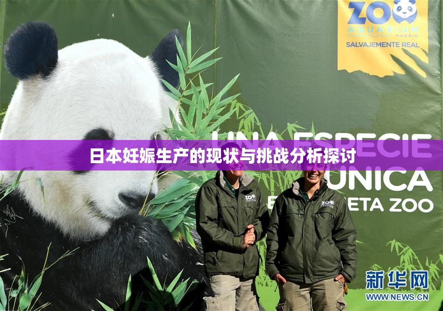 日本妊娠生产的现状与挑战分析探讨