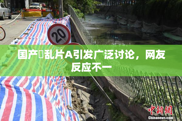 国产婬乱片A引发广泛讨论，网友反应不一