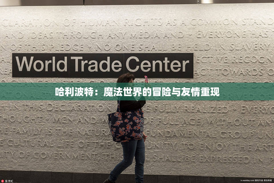 哈利波特：魔法世界的冒险与友情重现