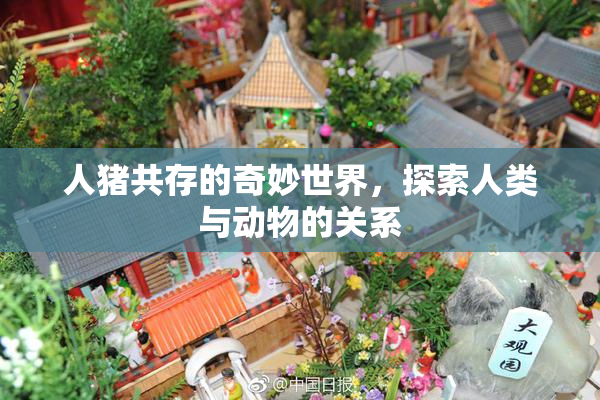 人猪共存的奇妙世界，探索人类与动物的关系