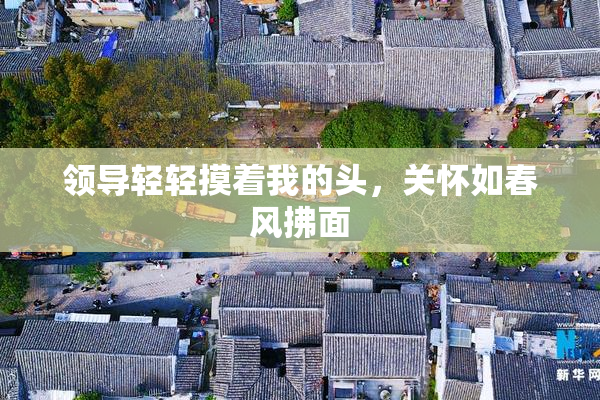 领导轻轻摸着我的头，关怀如春风拂面