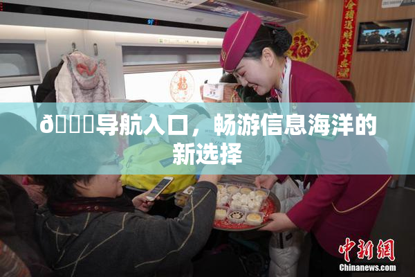🍓导航入口，畅游信息海洋的新选择