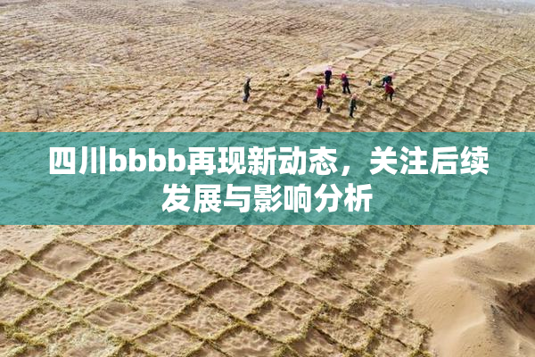 四川bbbb再现新动态，关注后续发展与影响分析