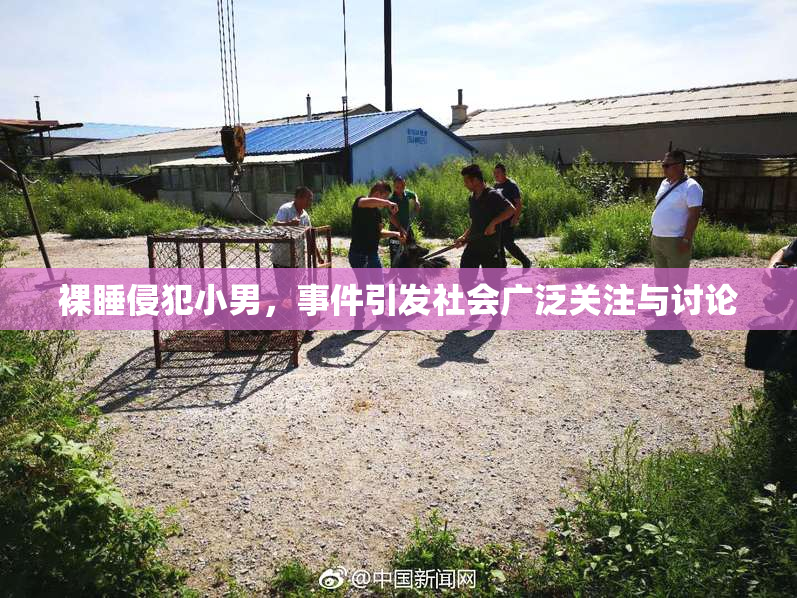 裸睡侵犯小男，事件引发社会广泛关注与讨论