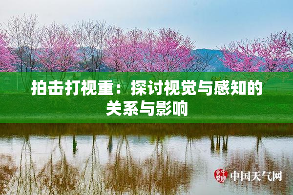 拍击打视重：探讨视觉与感知的关系与影响