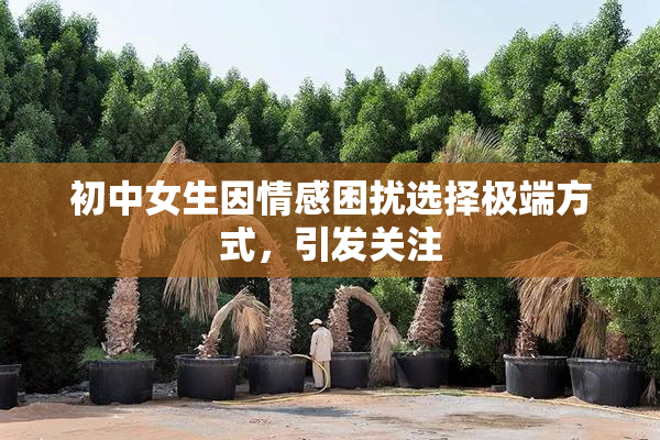 初中女生因情感困扰选择极端方式，引发关注
