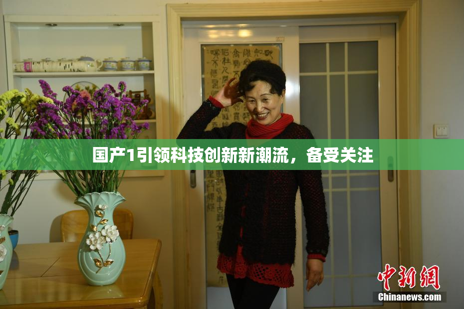 国产1引领科技创新新潮流，备受关注