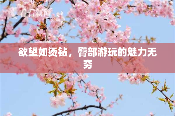 欲望如烫钻，臀部游玩的魅力无穷
