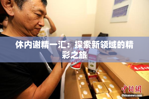 休内谢精一汇：探索新领域的精彩之旅