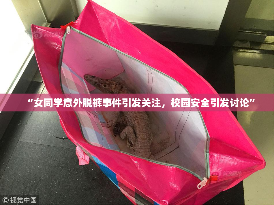 “女同学意外脱裤事件引发关注，校园安全引发讨论”