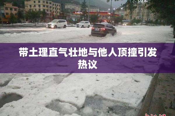 带土理直气壮地与他人顶撞引发热议