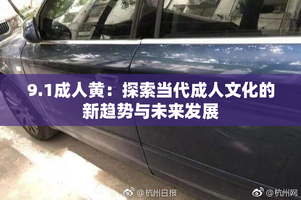 9.1成人黄：探索当代成人文化的新趋势与未来发展