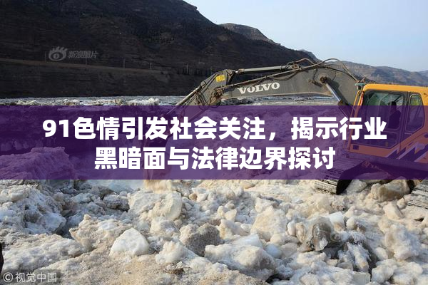 91色情引发社会关注，揭示行业黑暗面与法律边界探讨