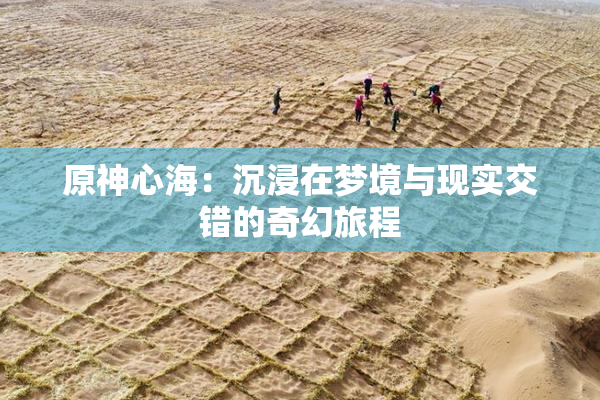 原神心海：沉浸在梦境与现实交错的奇幻旅程