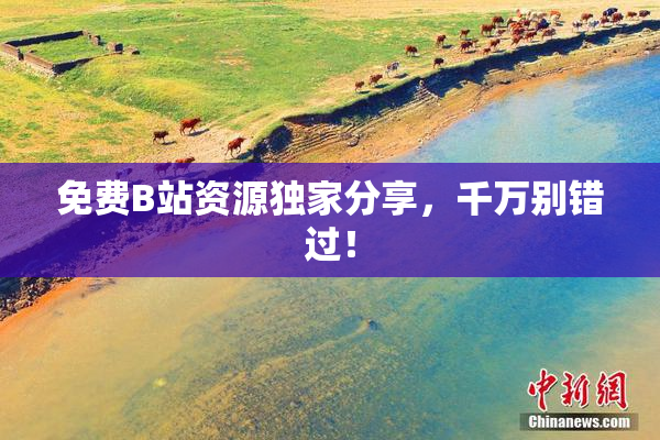 免费B站资源独家分享，千万别错过！