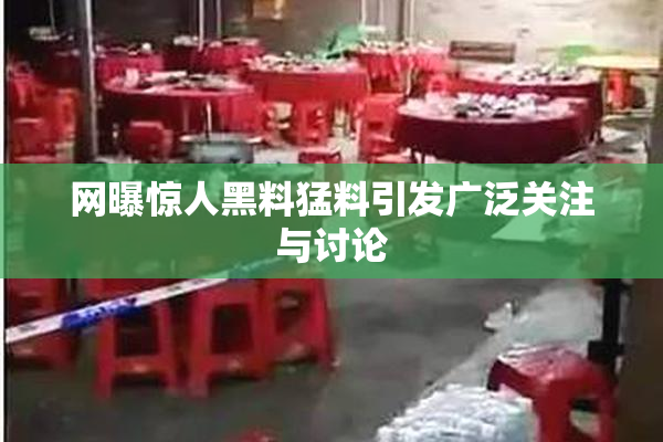 网曝惊人黑料猛料引发广泛关注与讨论