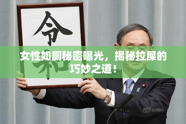 女性如厕秘密曝光，揭秘拉屎的巧妙之道！