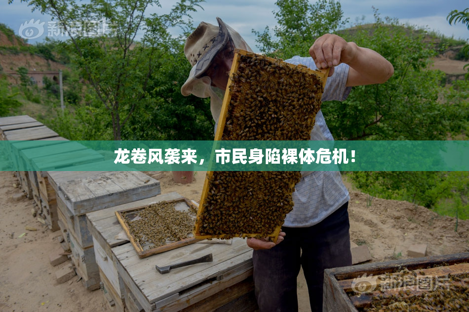 龙卷风袭来，市民身陷裸体危机！
