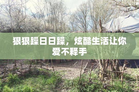 狠狠躁日日躁，炫酷生活让你爱不释手