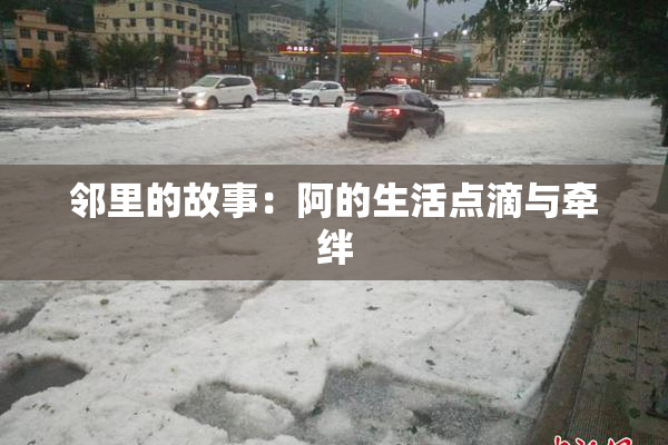 邻里的故事：阿的生活点滴与牵绊