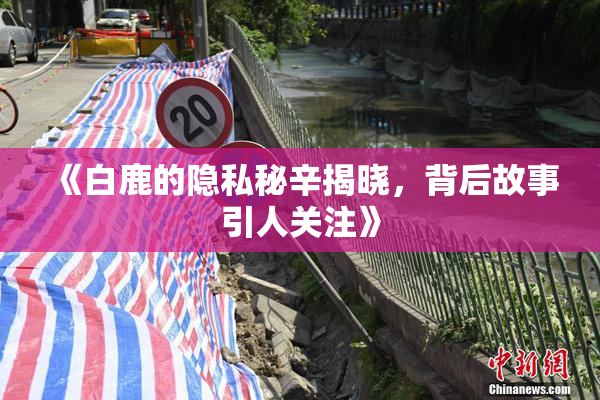 《白鹿的隐私秘辛揭晓，背后故事引人关注》