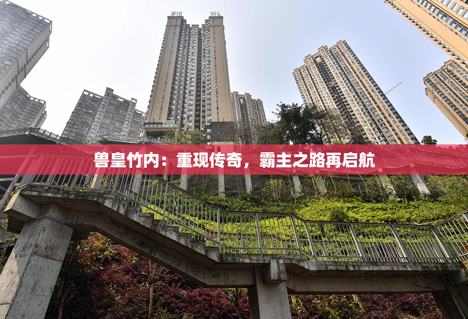 兽皇竹内：重现传奇，霸主之路再启航