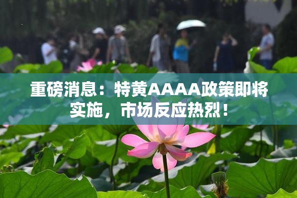 重磅消息：特黄AAAA政策即将实施，市场反应热烈！