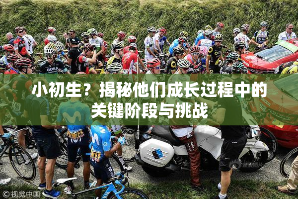 小初生？揭秘他们成长过程中的关键阶段与挑战