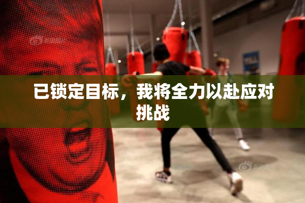 已锁定目标，我将全力以赴应对挑战