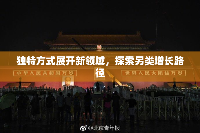 独特方式展开新领域，探索另类增长路径