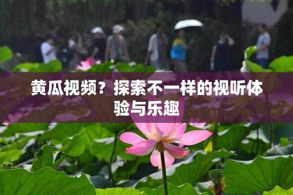 黄瓜视频？探索不一样的视听体验与乐趣