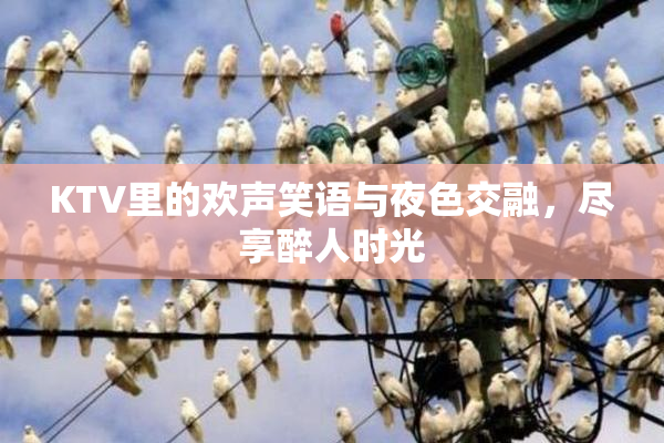 KTV里的欢声笑语与夜色交融，尽享醉人时光