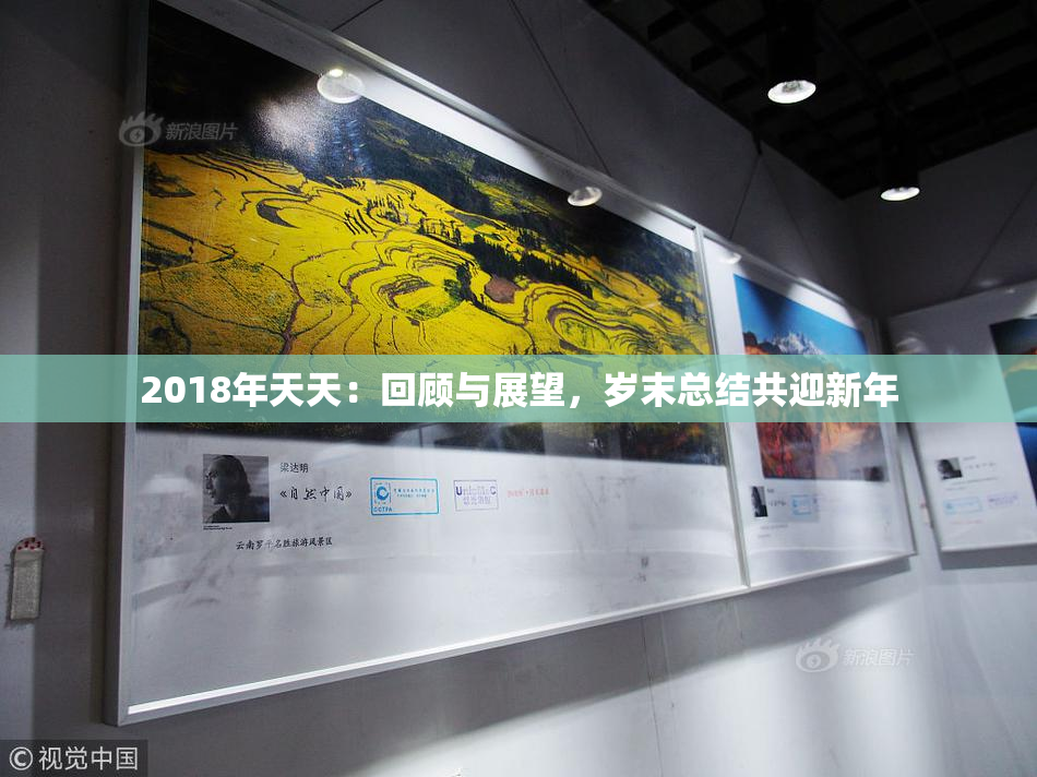 2018年天天：回顾与展望，岁末总结共迎新年