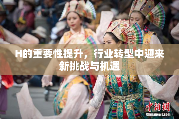 H的重要性提升，行业转型中迎来新挑战与机遇