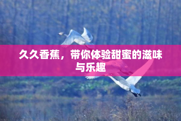 久久香蕉，带你体验甜蜜的滋味与乐趣