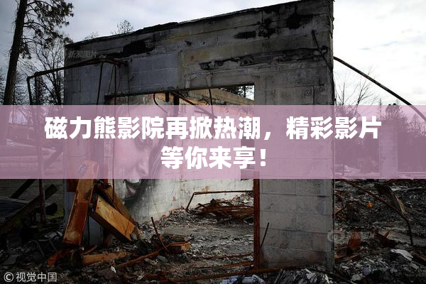 磁力熊影院再掀热潮，精彩影片等你来享！