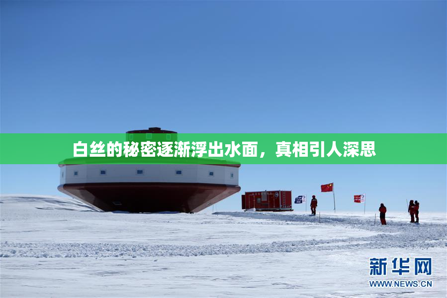 白丝的秘密逐渐浮出水面，真相引人深思