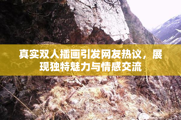 真实双人插画引发网友热议，展现独特魅力与情感交流