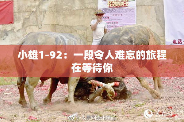 小雄1-92：一段令人难忘的旅程在等待你