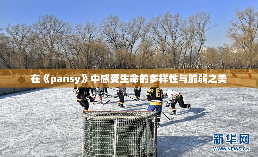 在《pansy》中感受生命的多样性与脆弱之美