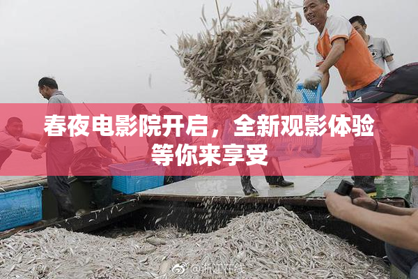 春夜电影院开启，全新观影体验等你来享受