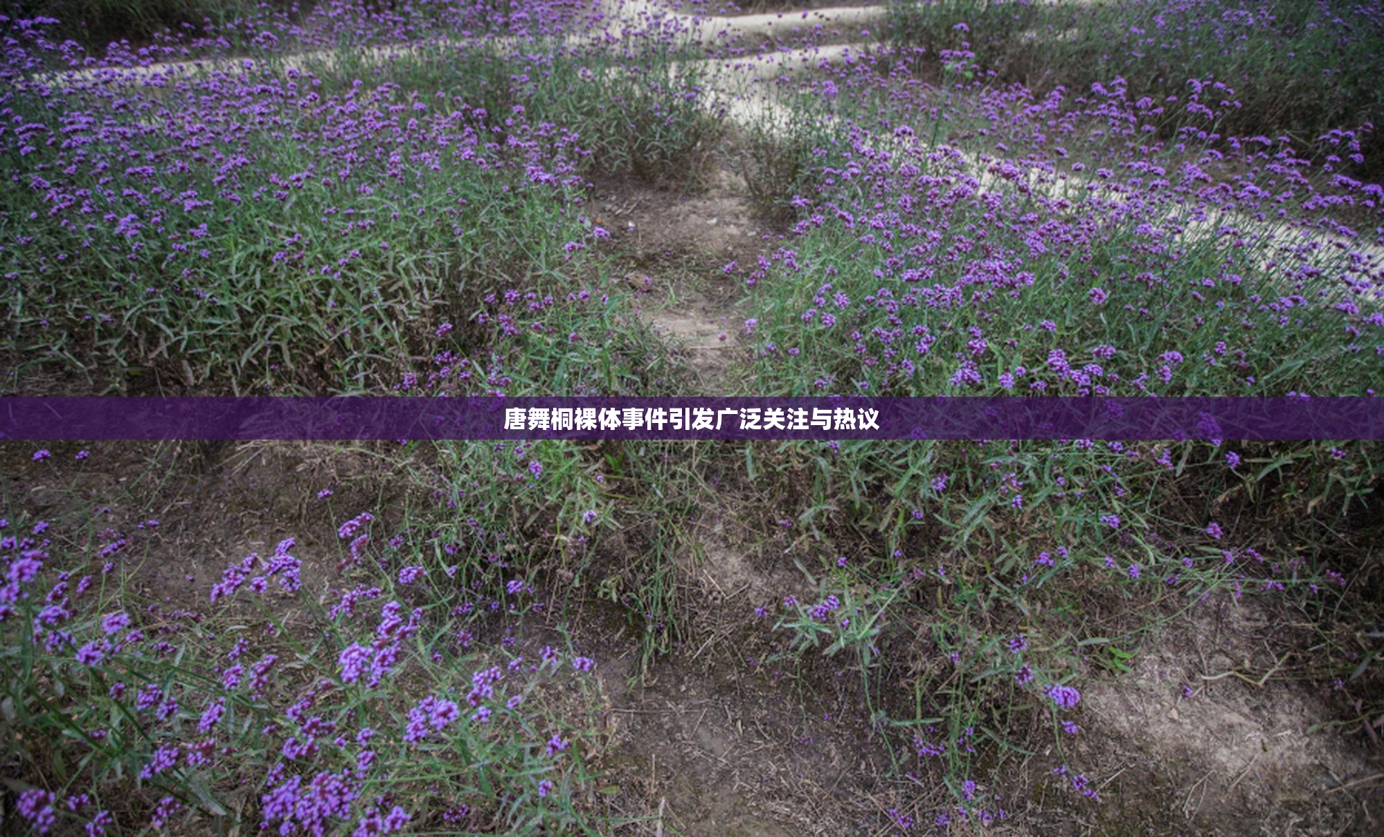 唐舞桐裸体事件引发广泛关注与热议