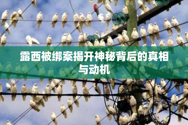 露西被绑案揭开神秘背后的真相与动机